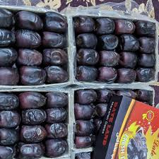 تصویر 3 از خرما مضافتی تازه درجه یک ممتاز برای مصرف خانگی